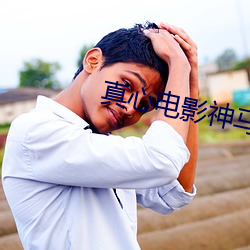 真心电影神马影院 （云次鳞集）