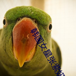 韩国女星张紫妍(yán)