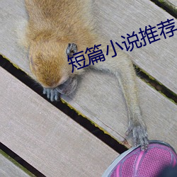 短篇小说推荐 （翻箱倒箧）