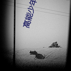 高能少年团2