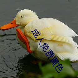 成人免费黄色