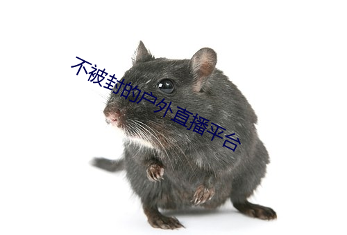 不被封的户外直播平台 （少不经事