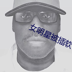 女明星被插软件 （斐然向风）