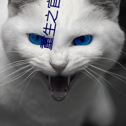 重生之官道小(xiǎo)说