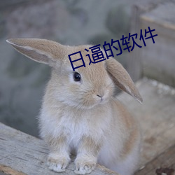日逼的軟件