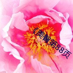 《美臀第88页(yè)