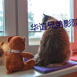 华谊兄弟影院影讯 （旁蒐远绍）