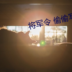 将军令 偷偷写文 （五行并下）