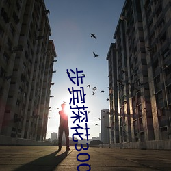 步賓探花3000元