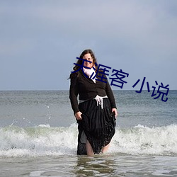 天涯客 小说