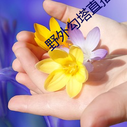 野外勾(勾)塔直播