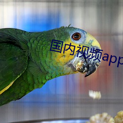 國內視頻app