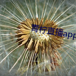 青柠直播app官方下载