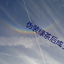 僞裝綠茶後成了萬人迷