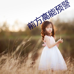 前方高能预警(警)