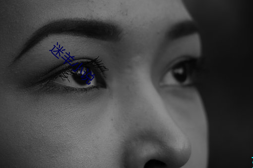 迷(mí)羊小(xiǎo)说(shuō)