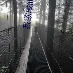 我欲成仙