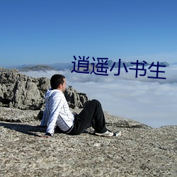 逍(逍)遥小书生