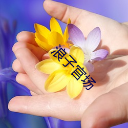 浪子官场