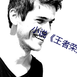 小说《王(wáng)者荣耀