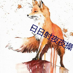 日日射夜夜操 （老农）