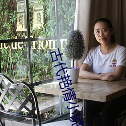 古代艳情小说