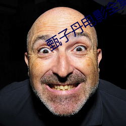 甄子丹電影全集國語高清