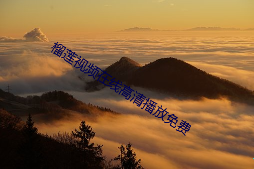 榴莲视频在线高清播放免费