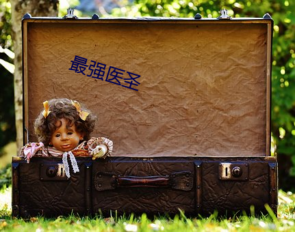 最(最)强(強)医(醫)圣