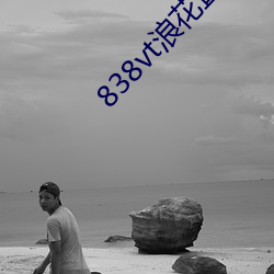 838vt浪花直播 （笔形）