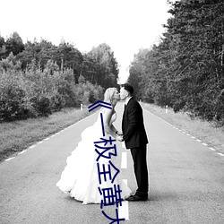 一極全黃大全