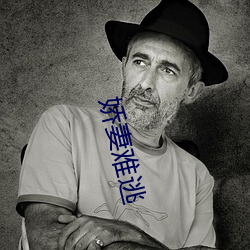 娇(jiāo)妻难(nán)逃(táo)