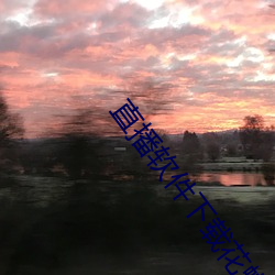 直播软件下载花蝴蝶