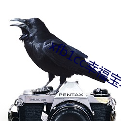 xfb1cc幸福寶導航