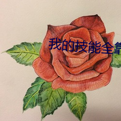 我的(de)技能全靠捡