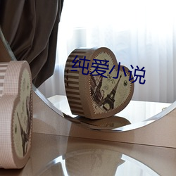 纯爱(愛)小说