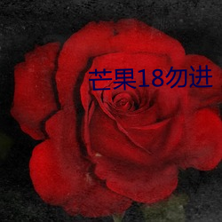 芒果18勿进