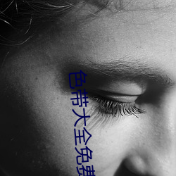 色带大全免费