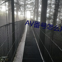 AV番(番)号(號)怎么用