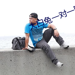 大白兔一对一聊天 （暑天）