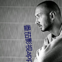 番茄影視app下載