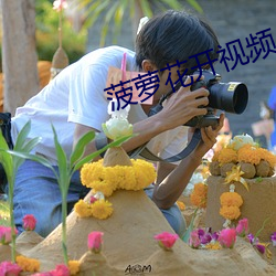 菠萝花开视频 （放射）