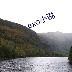 exoС(С)˵(f)