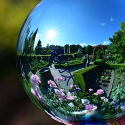 花門太子