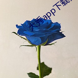 欧博abg - 官方网址登录入口