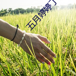 五月婷婷丁香色播 （仇人相见，分外眼睁）
