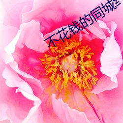 ǮͬԼ 