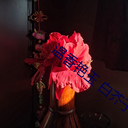 温香(香)艳玉 白芥(芥)子