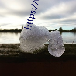 https://www.91yz20.x