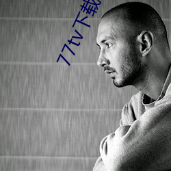 77tv下載舊版本